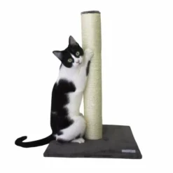 Catshion Pole Rascador Gris Para Gatos