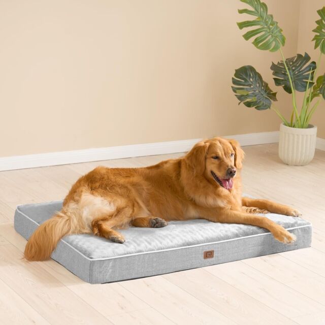 Suministros De Mascotas Ventas 2024 -Suministros De Mascotas Ventas 2024 s l640